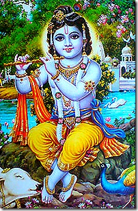 Lord Krishna