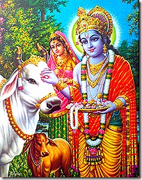Radha and Krishna with cows