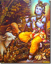 Lord Krishna with cows