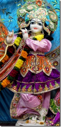 Lord Krishna