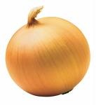 [onion[2].jpg]