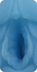 Anthro-Dragoness closeup