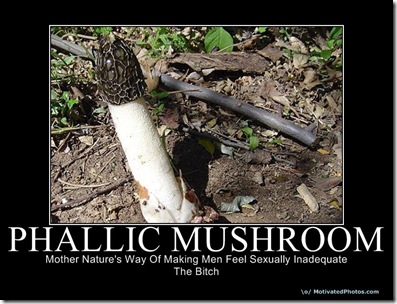 633789414186147040-PHALLICMUSHROOM