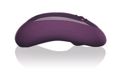 sasi_purple_side_new