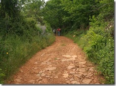 IMG_5726 IMG_5726