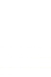 FUNDO BRANCO