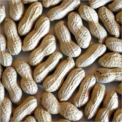 [Ground-Nuts[4].jpg]