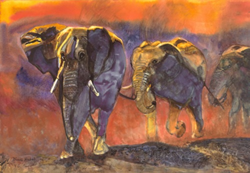 [Elephant[5].jpg]