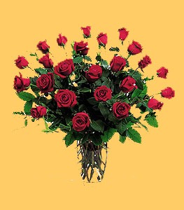 [Two Dozen Red Roses[4].jpg]