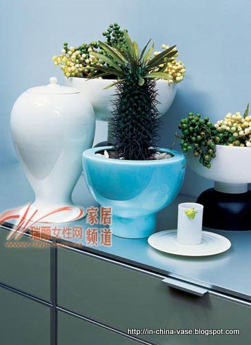 In china vase:N400-30971