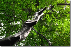 IMG_8364 IMG_8364