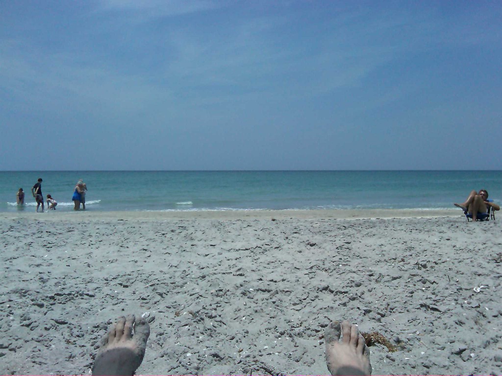 [Florida Beach Vista[4].jpg]
