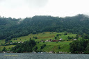 Water, hills, greenery and fog right next to Lake Lucerne - Thumbnail