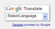 [googletranslatetool[2].png]