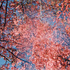 04-R1-24A.jpg