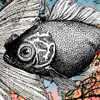 Goldfish-Poster.jpg