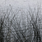 IMG_1748.JPG