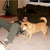 New Years / HPIM0076.JPG
