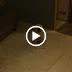 Drop Box / img_0246.mov