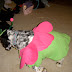 Halloween 2007 / DSC02413.JPG