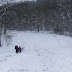 Sledding on December 26, 2009 / HPIM1824.JPG