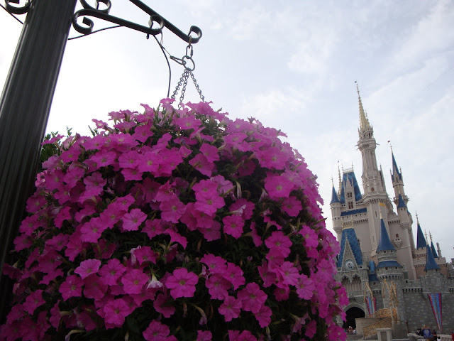 DSC05688.JPG