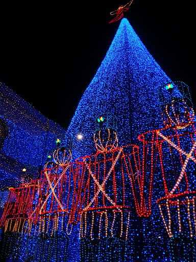 DSC07142.JPG
