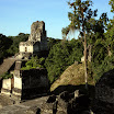 IMG_4678_s.jpg