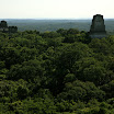 IMG_4700_s.jpg