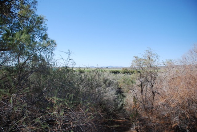 [02-17-10 A Yuma BLM 003[3].jpg]