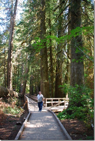 09-26-09 Grove of the Patriarchs - Mt Rainier 046