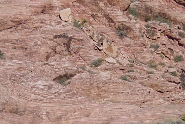 [11-26-10 Red Rock Canyon (50)[3].jpg]