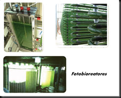 Fotobioreator_vertical Fotobioreator_vertical