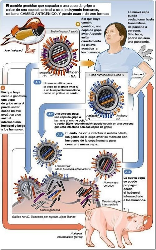 sintomas gripe a