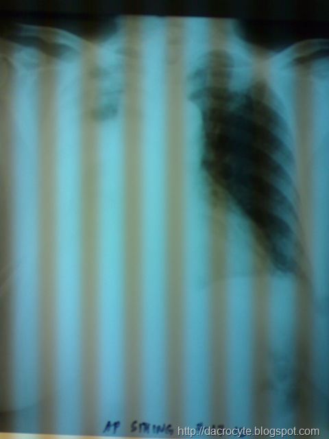 [DSC008667.jpg]