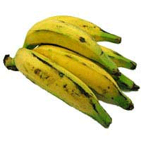 [Banana_terra[5].gif]
