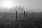 Foggy Sunrise on Highway 20 between Sweet Home and Lebanon