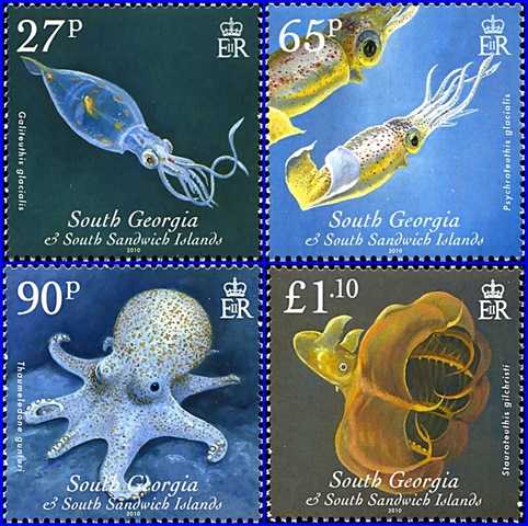 [Cephalopods setajpg-tile[4].jpg]