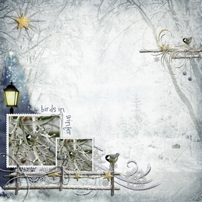 birds in winter_resize
