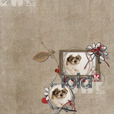 lola_resize