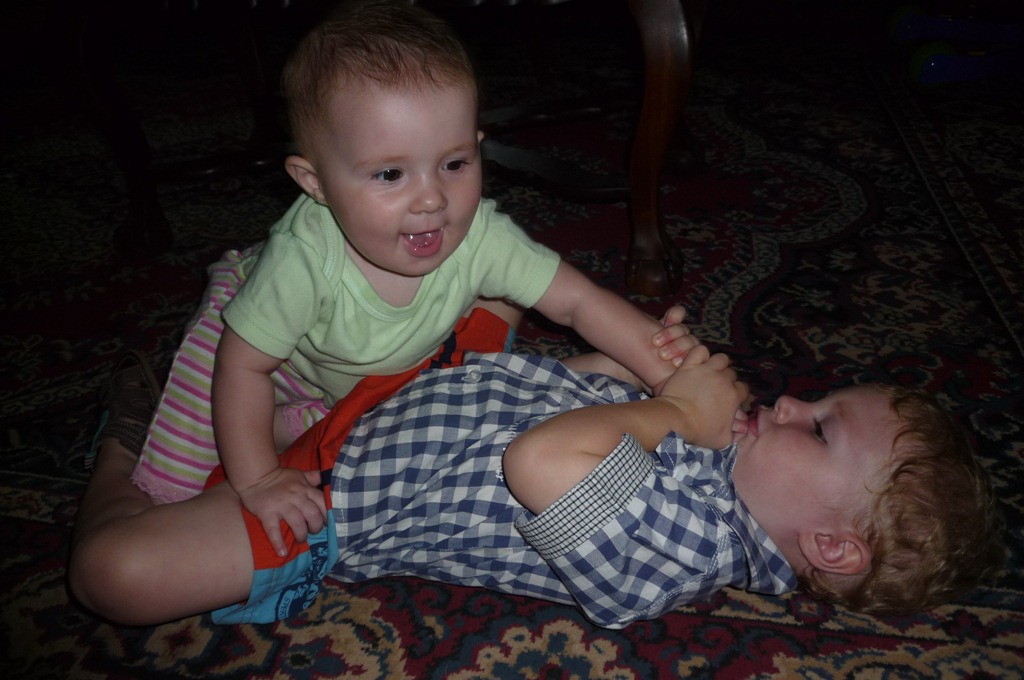 [P1010552[3].jpg]