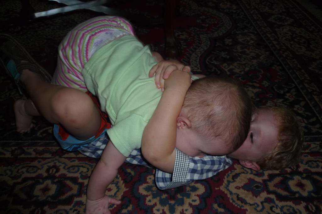 [P1010557[3].jpg]