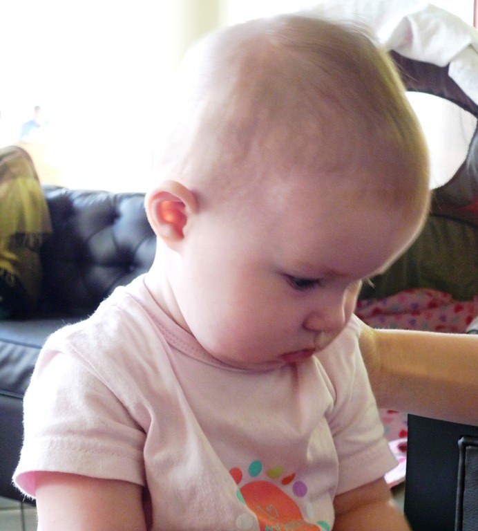 [P1010230 - Copy[2].jpg]