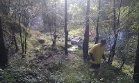 IMAG0046.jpg Photo