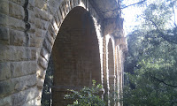 IMAG0049.jpg Photo