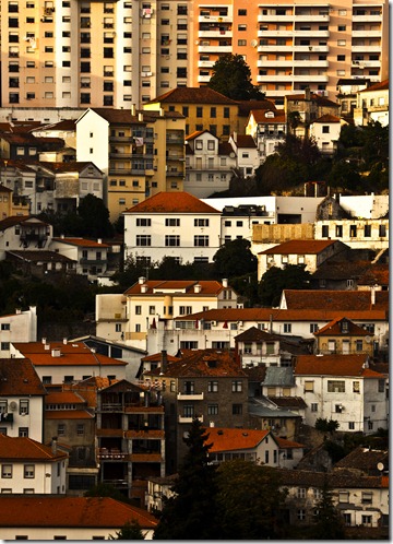 fotinhas2