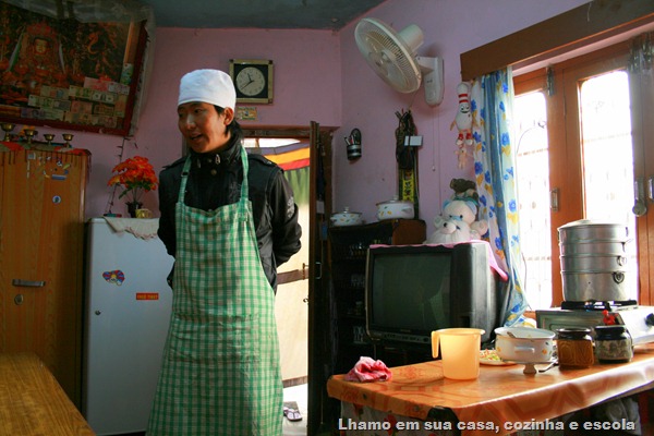 IMG_2378 IMG_2378