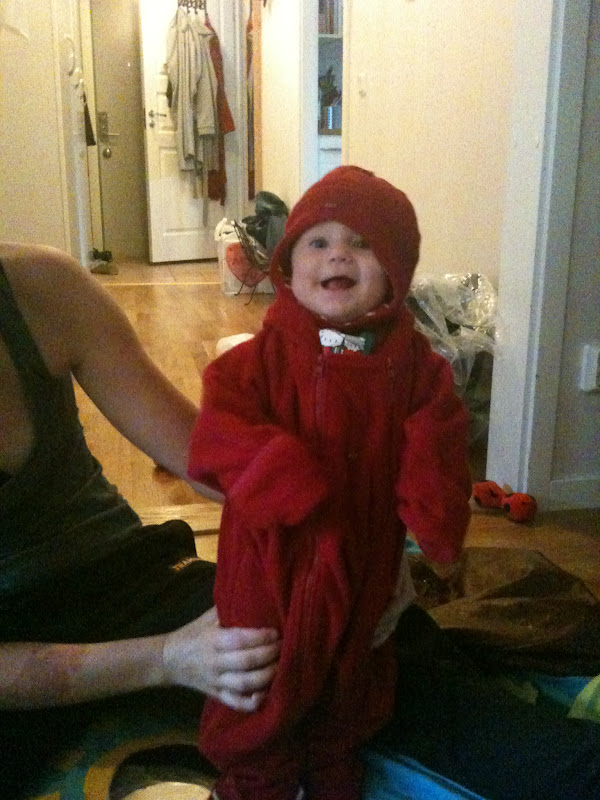 bild 1.JPG