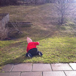 bild 1.JPG
