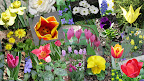 The Hall Garden - Through The Seasons Slideshow